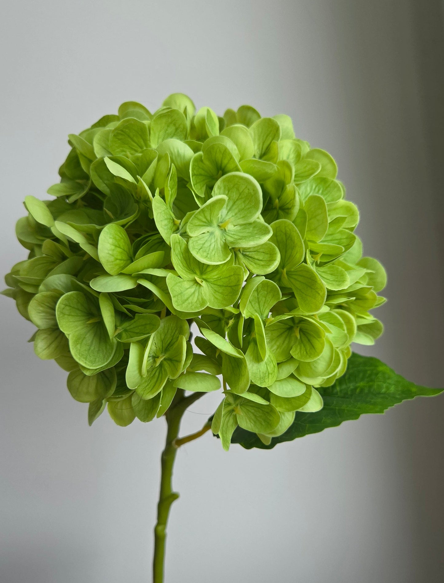 Real Touch Large Hydrangea