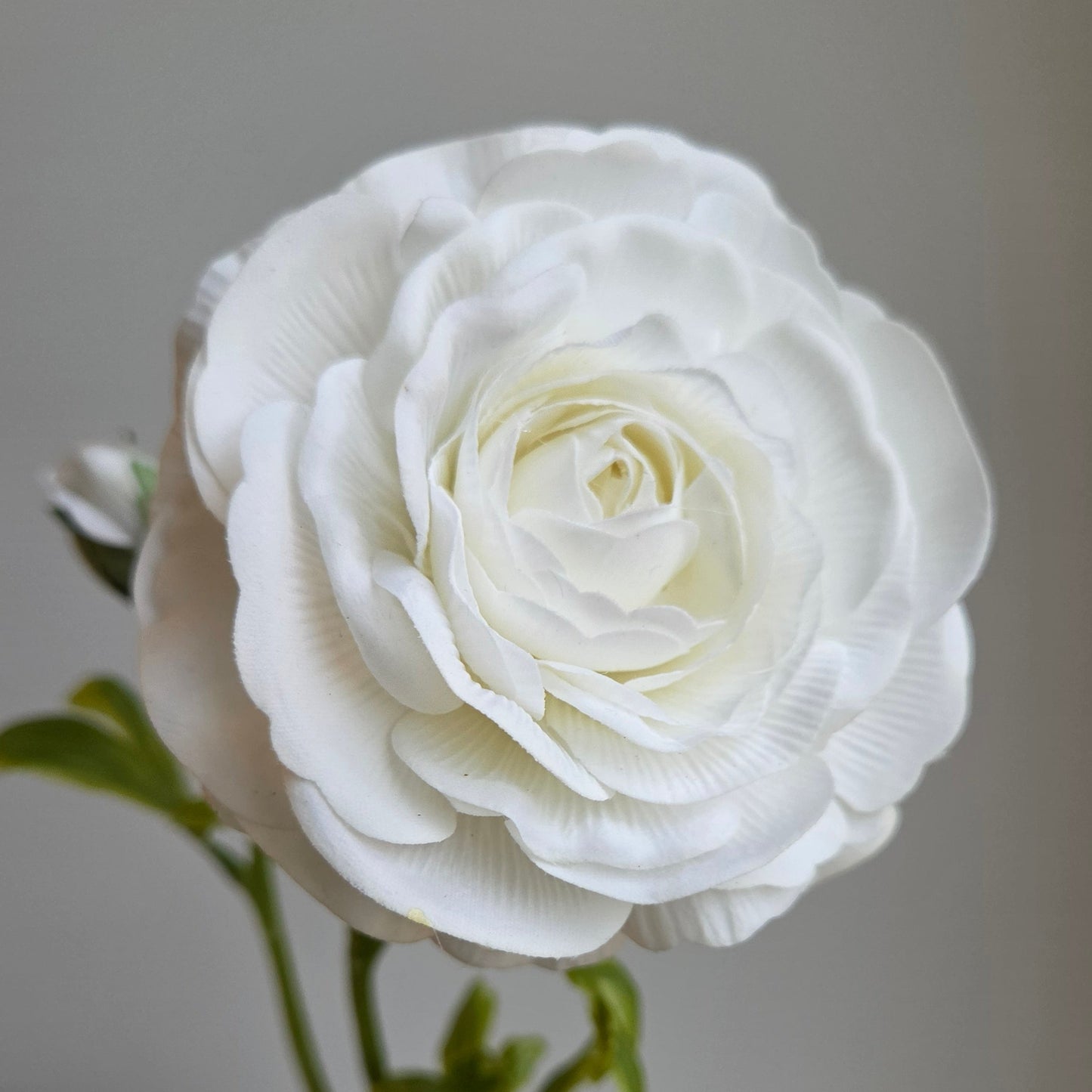 Real Touch Ranunculus