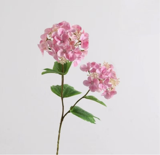Silk Snowball Hydrangea