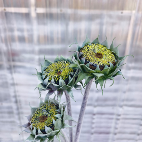 Real Touch Sunflower