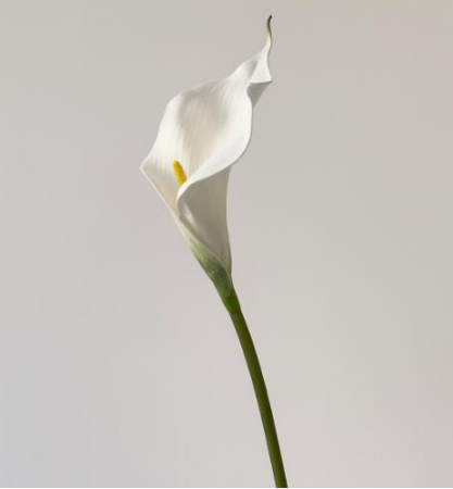 Real Touch Medium Calla Lily