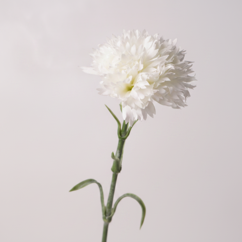 Real Touch Carnation