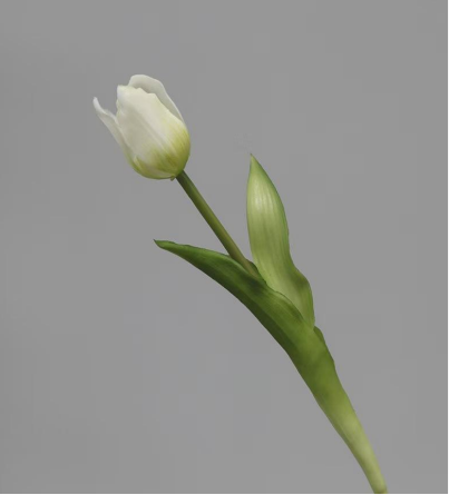 Real Touch Tulip