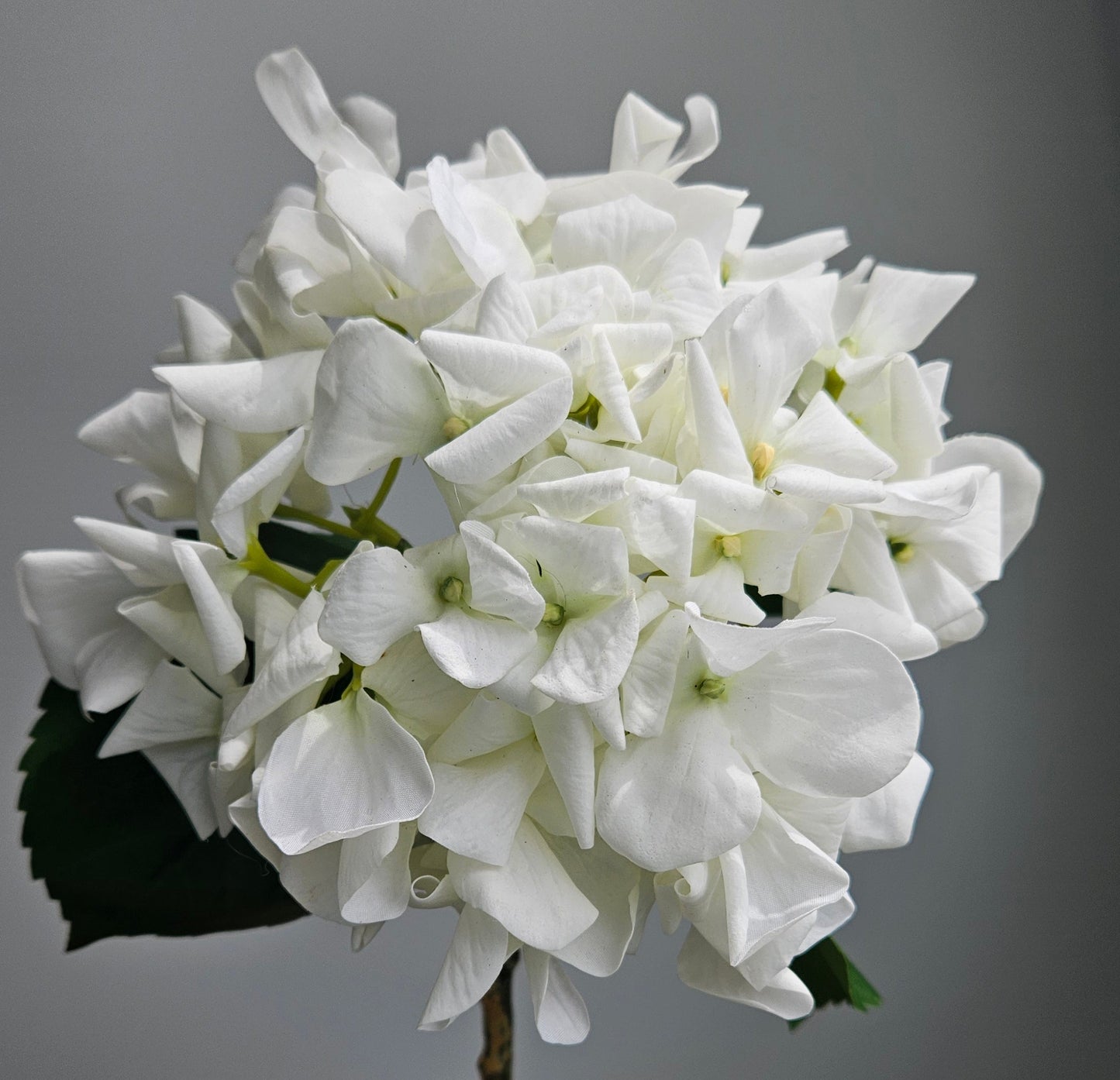 Ultra Real Touch Hydrangea
