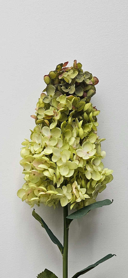 Silk Large Cone Hydrangea