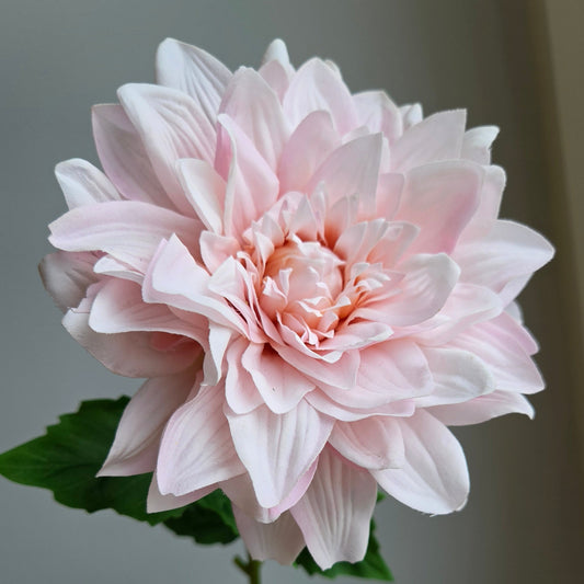 Real Touch Dahlia