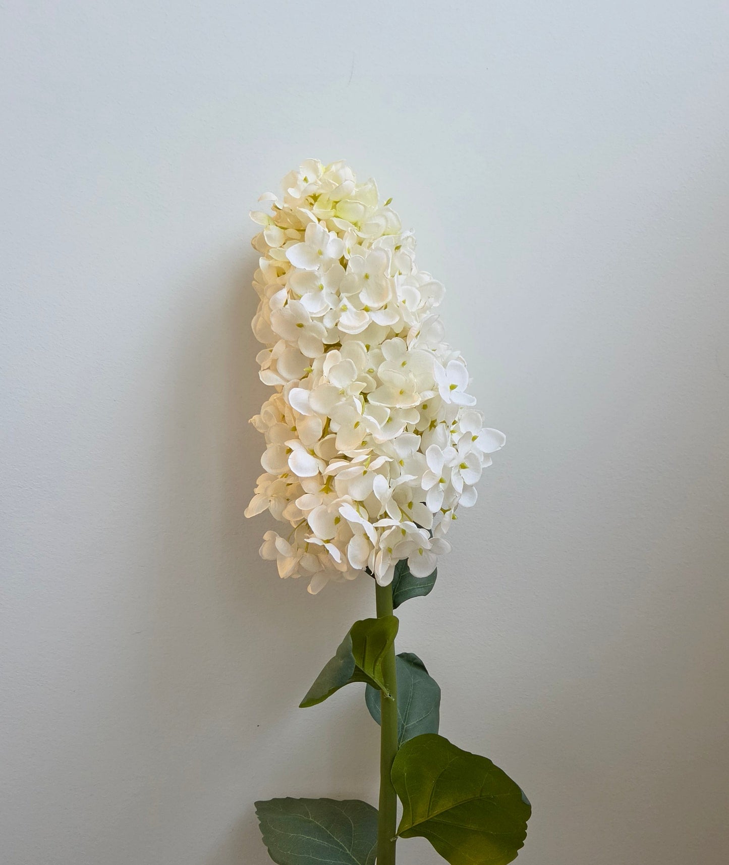 Silk Large Cone Hydrangea