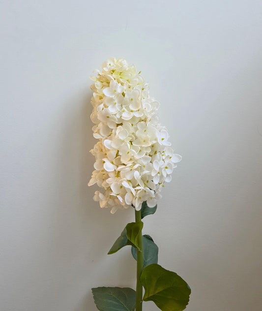 Silk Large Cone Hydrangea