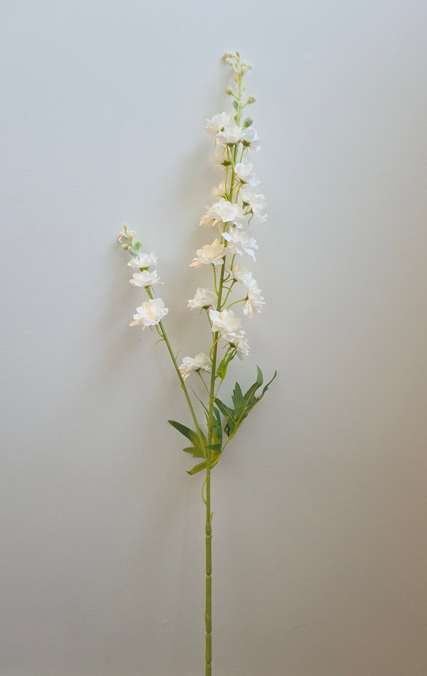 Silk Delphinium