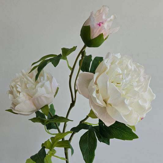 Real Touch 3-Head Peony