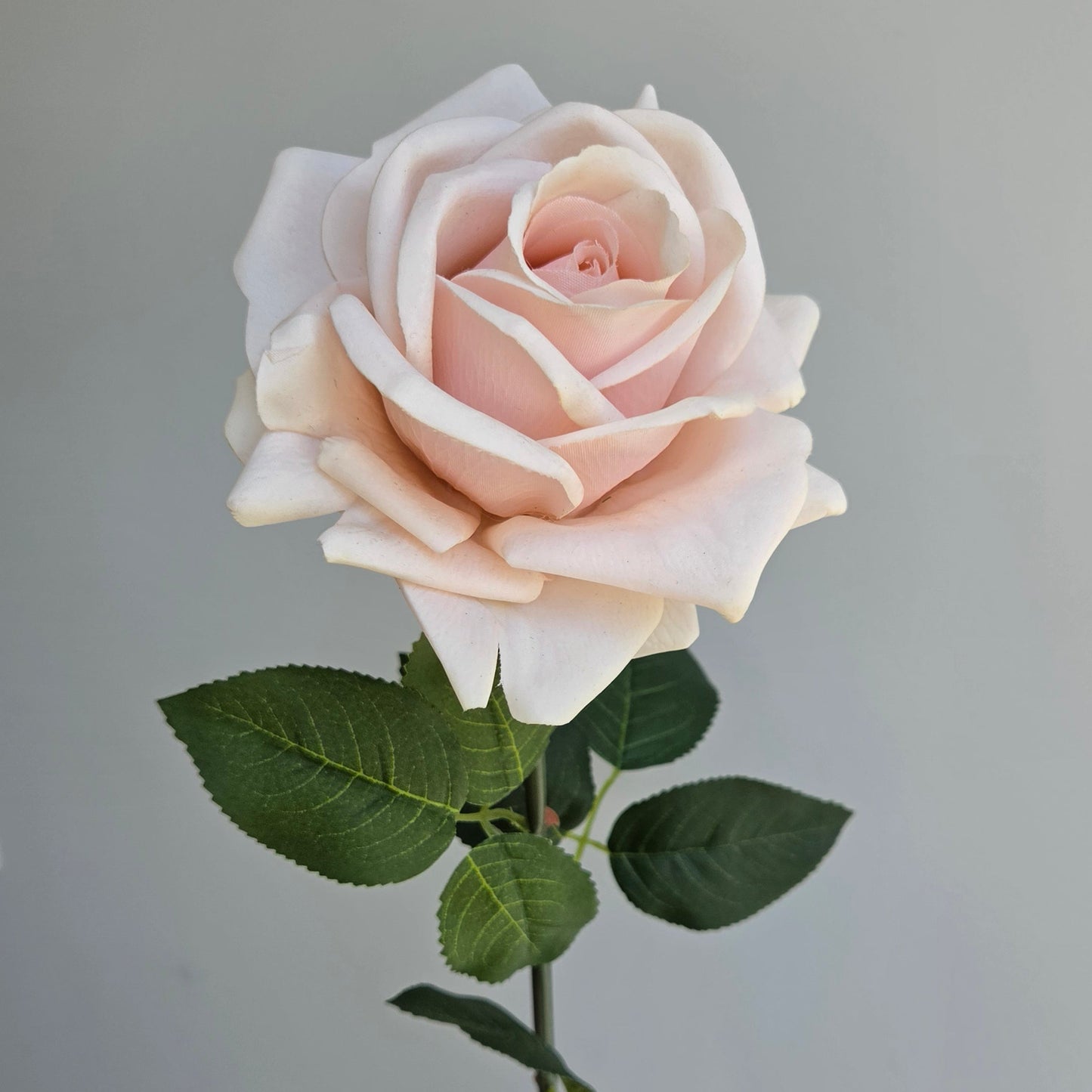 Real Touch Rose