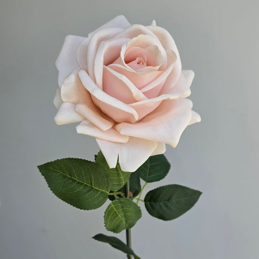 Real Touch Rose