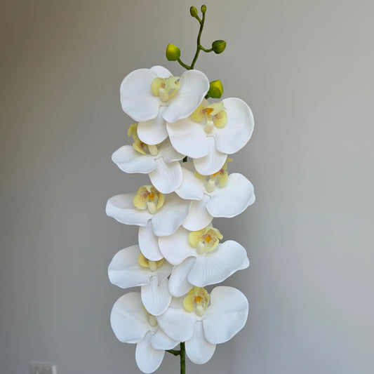 Real Touch 9-Head Orchid