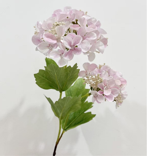 Silk Snowball Hydrangea