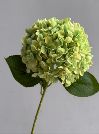 Silk Large Hydrangea