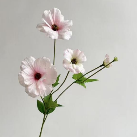 Silk Butterfly Ranunculus