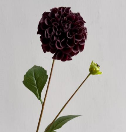 Real Touch Dahlia
