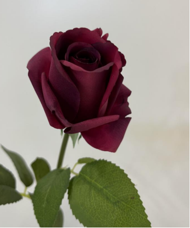 Real Touch Rose