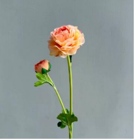 Silk Ranunculus