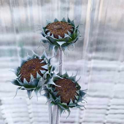 Real Touch Sunflower