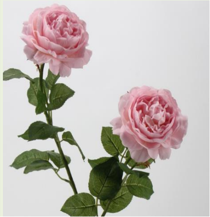 Real Touch Ranunculus