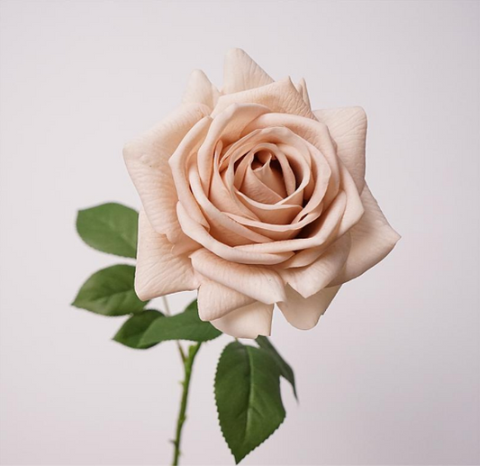 Real Touch Rose