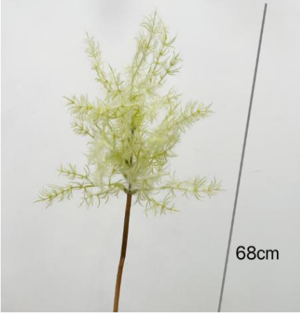 Silk Smokebush