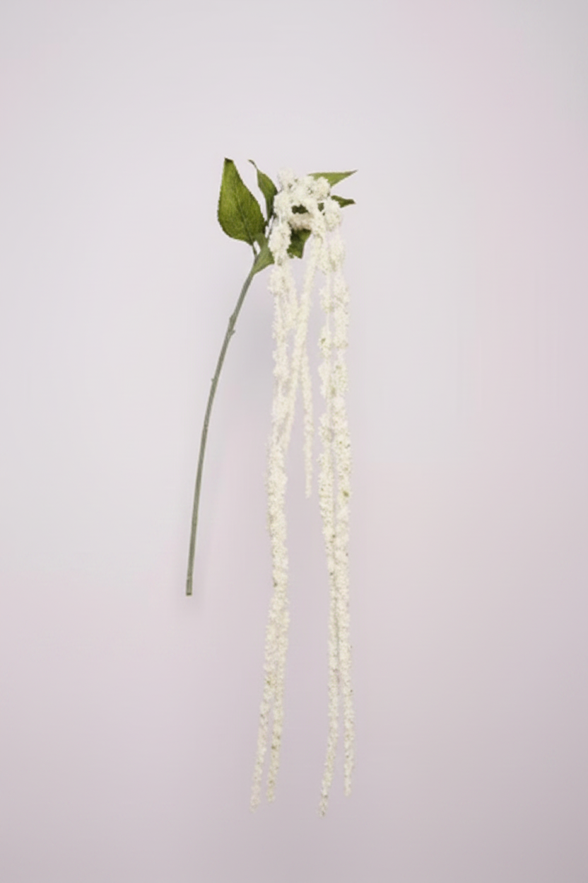 Silk Amaranthus
