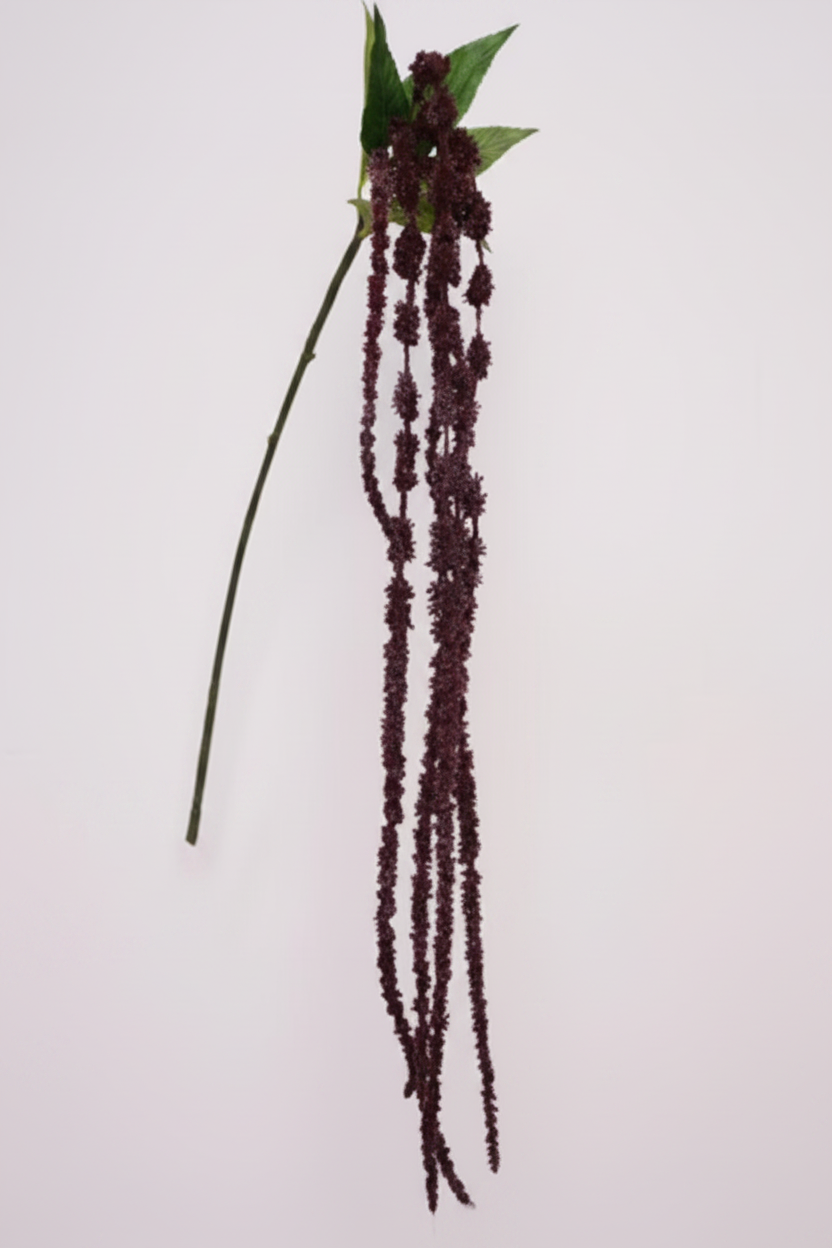 Silk Amaranthus