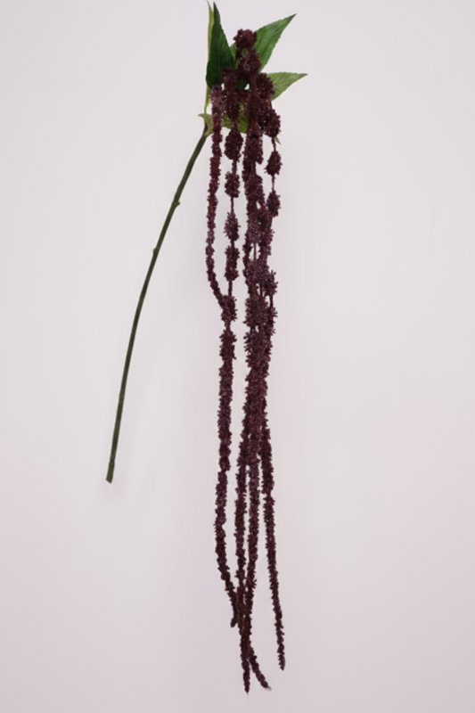 Silk Amaranthus