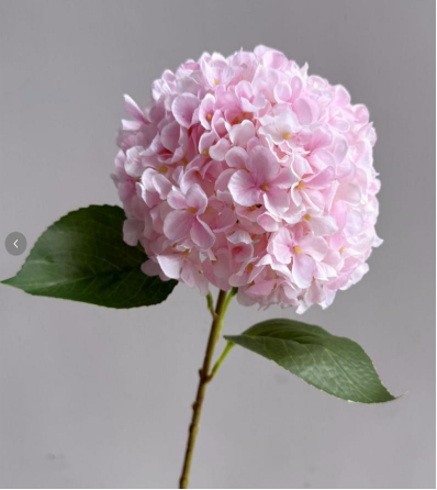 Silk Large Hydrangea