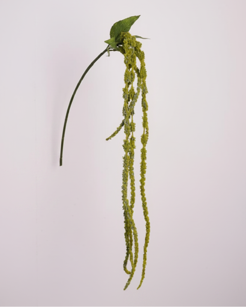 Silk Amaranthus