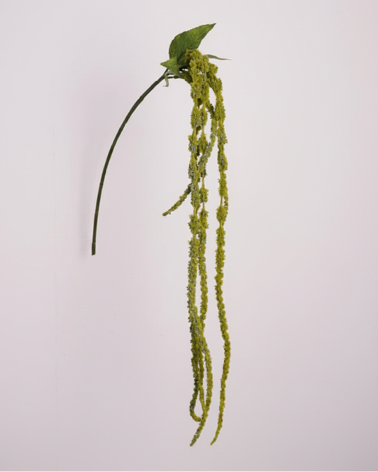 Silk Amaranthus