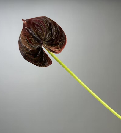 PU Material Anthurium