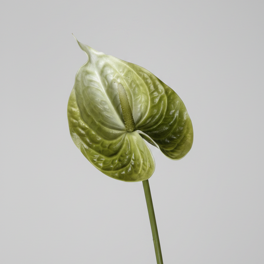 PU Material Anthurium