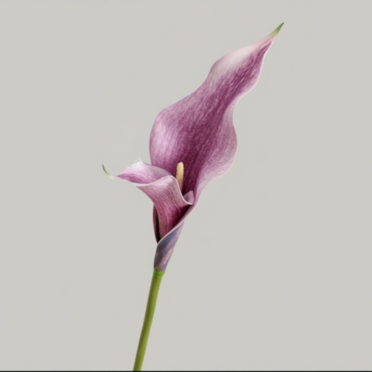 Real Touch Medium Calla Lily