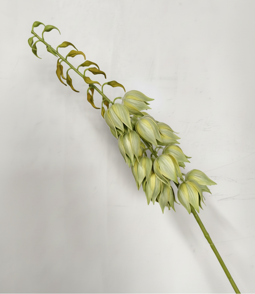 Real Touch Yucca