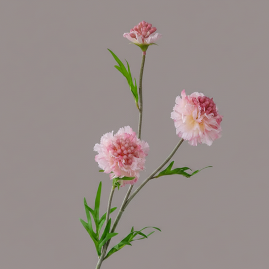 Silk Scabiosa