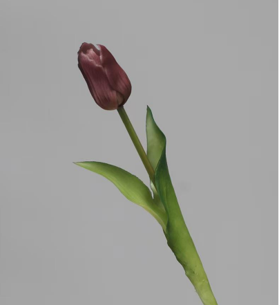 Real Touch Tulip