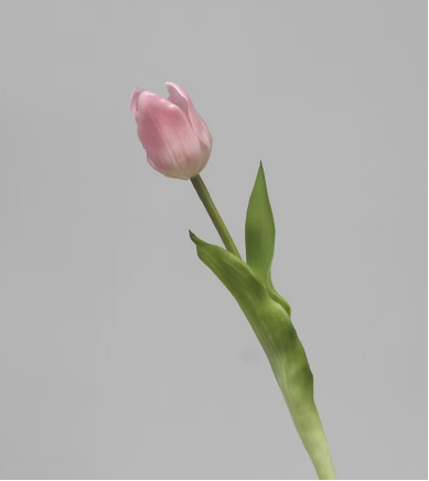 Real Touch Tulip
