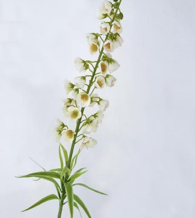 Real Touch Foxglove